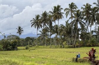 The Feeling We Forgot… Until This Trip Brought It Back