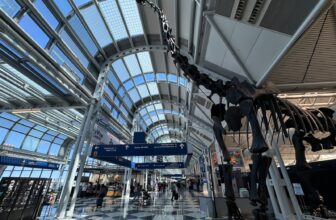 FAA orders flight reductions at Chicago’s O’Hare this summer