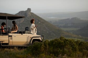 How BofA Rewards can elevate your lifestyle