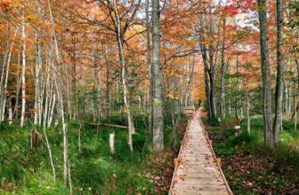 The best US national parks you should visit at least once (or twice)